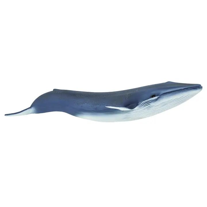 Blue Whale Rubber Toy