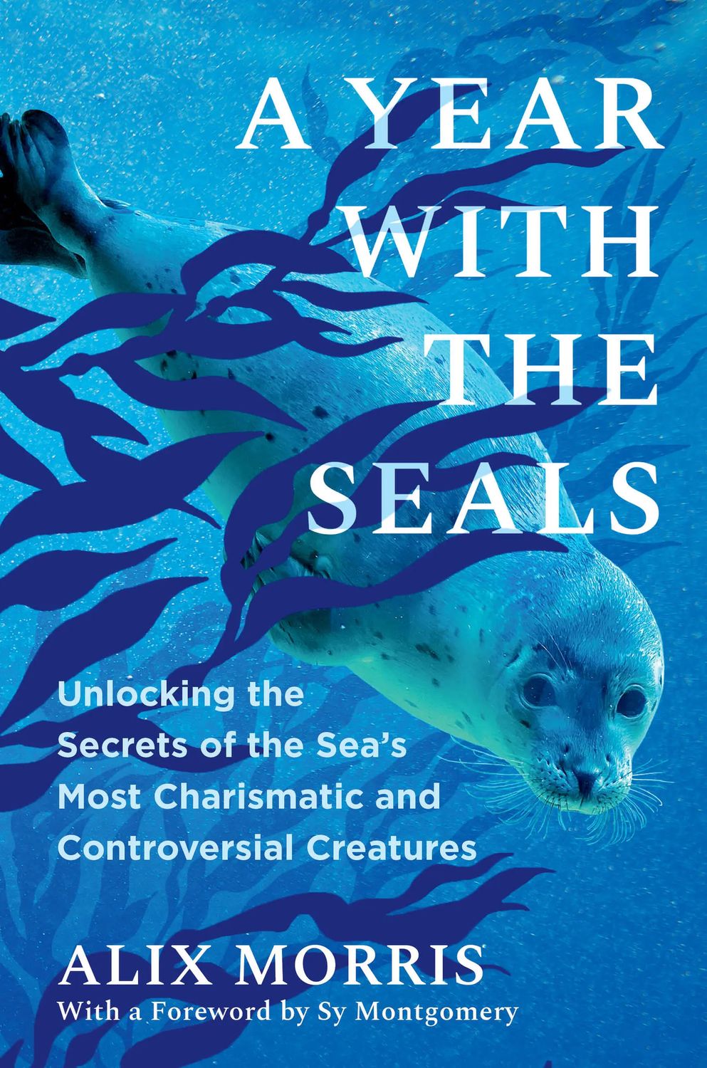 A Year with the Seals By Alix Morris