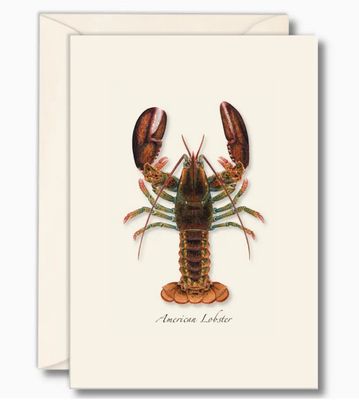 Lobster boxed notes