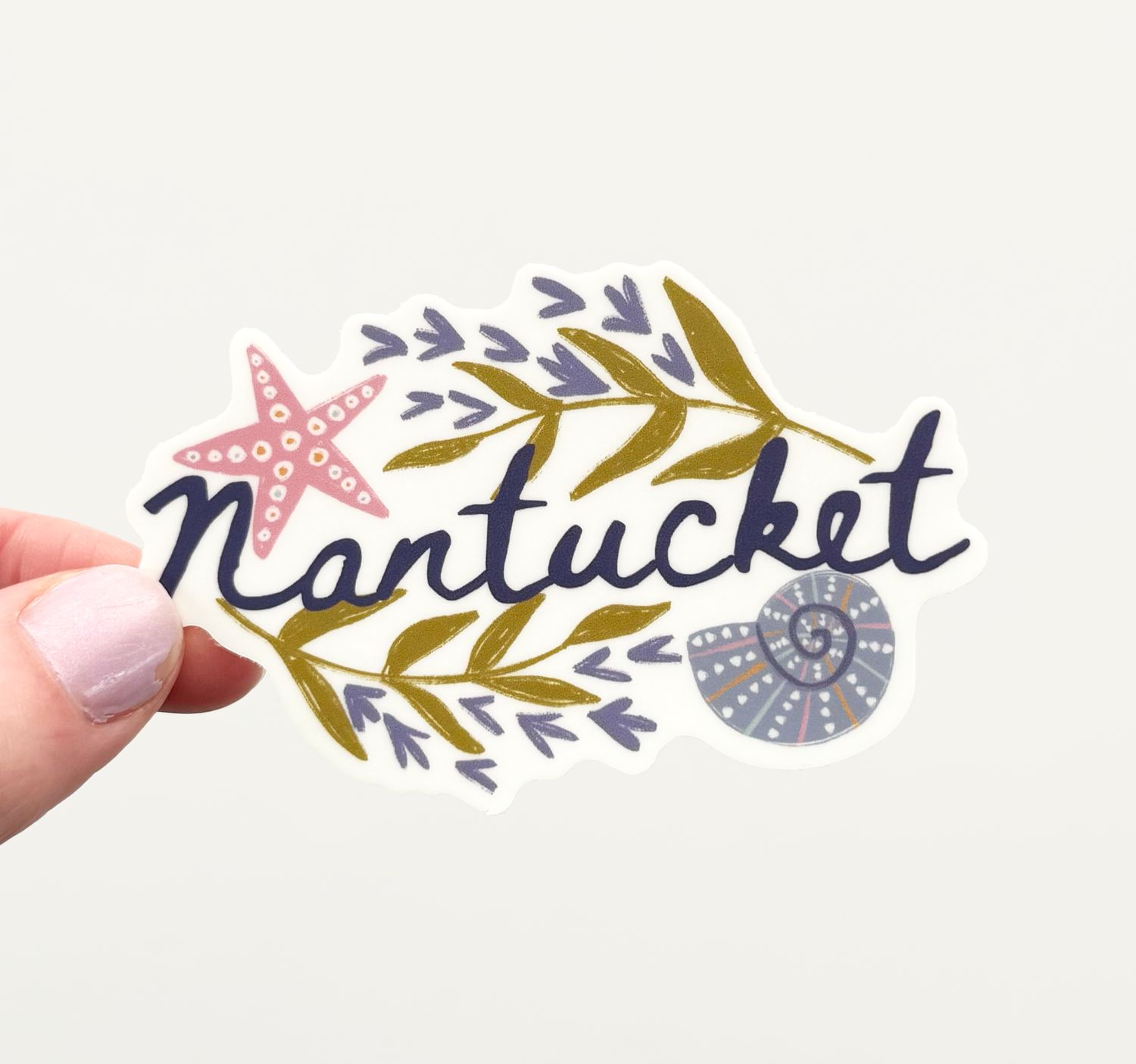 Nantucket Shells Sticker