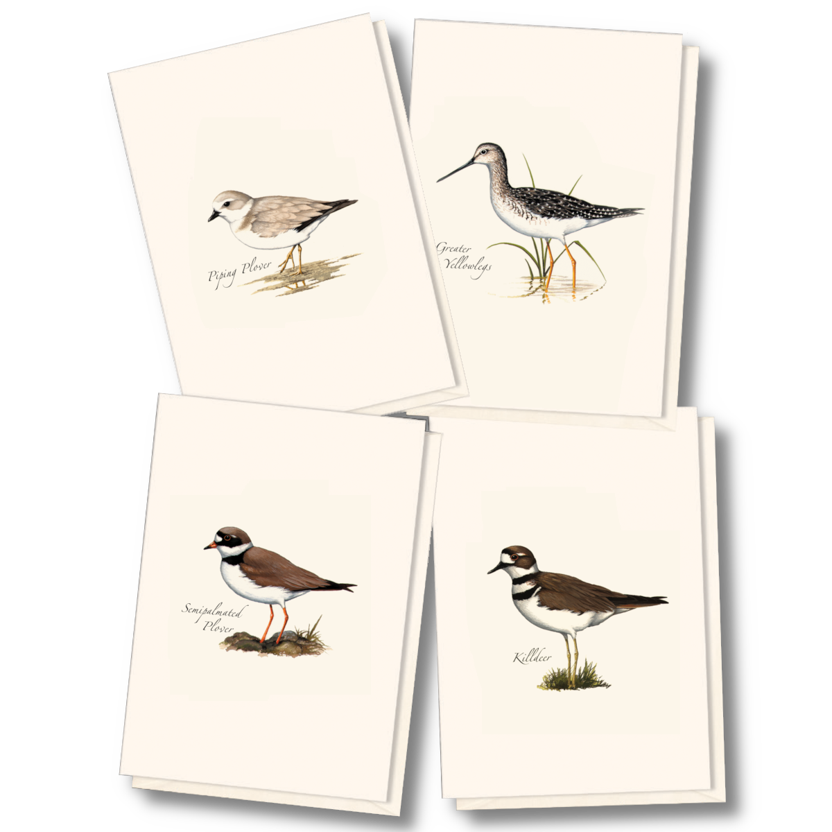 Shorebird Assortment