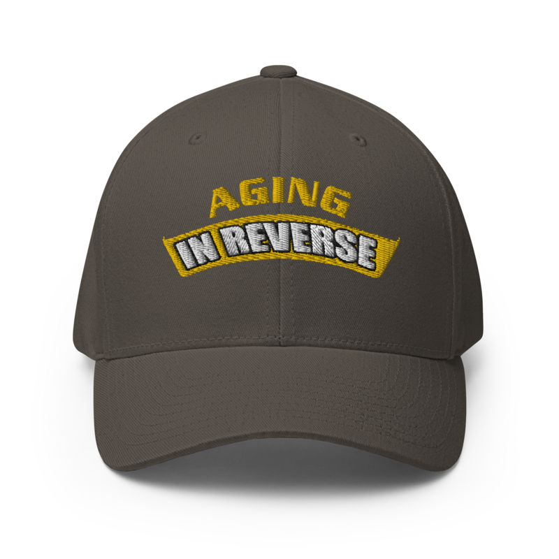 FlexFit Structured Hat