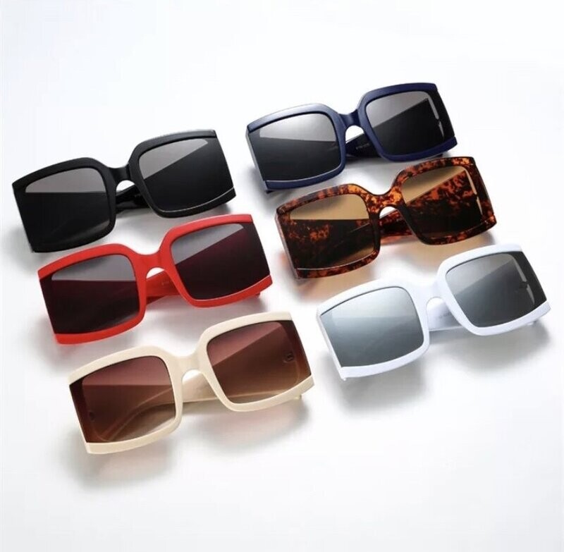 Sun Blocker + Case
