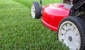 Basic Lawn Mow & Snip Service (to 850m2)