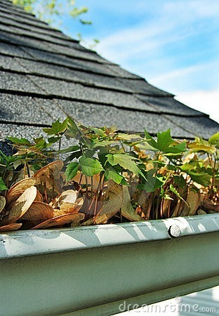 Gutter Cleaning - per hour Gutter Cleaning - per hour