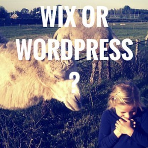 Wix of Wordpress?