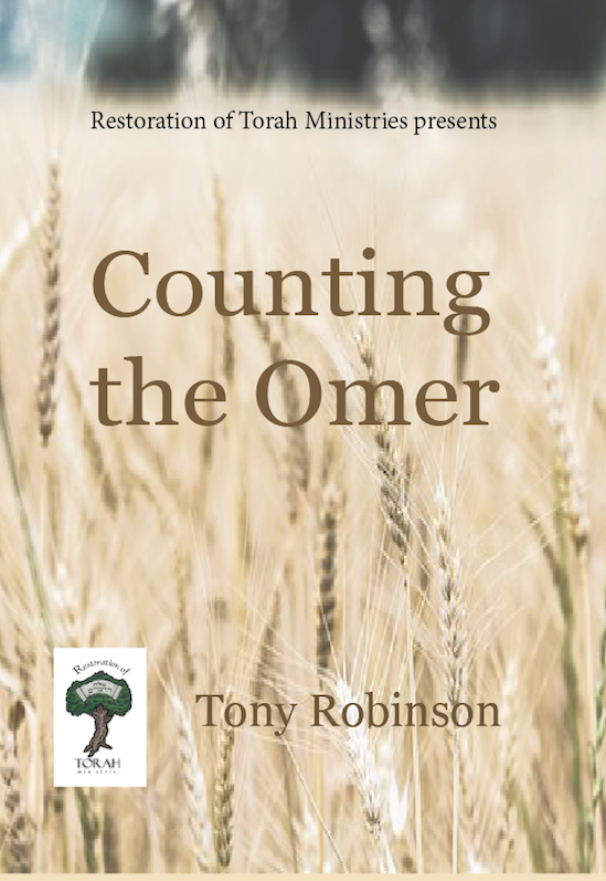 Counting the Omer