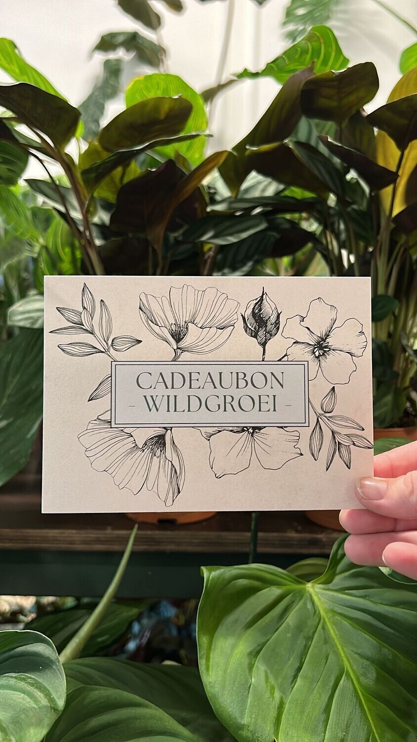 Cadeaubon vanaf €10