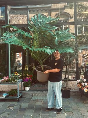 Workshop "Planten verzorgen, verpotten & stekken" 18/01/2026