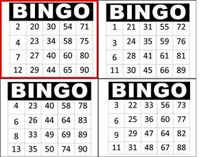 Bingo Social Ticket