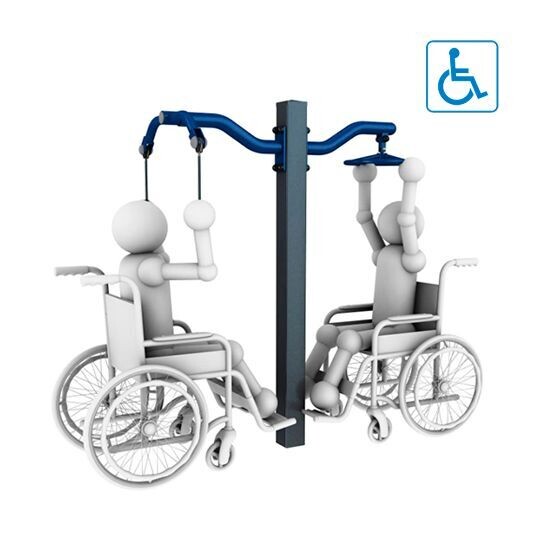 FLEXÃO DE BRAÇO ADAPTADA BIO SAUDÁVEL
