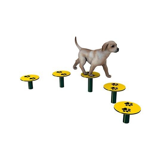 PLATAFORMAS CANINAS