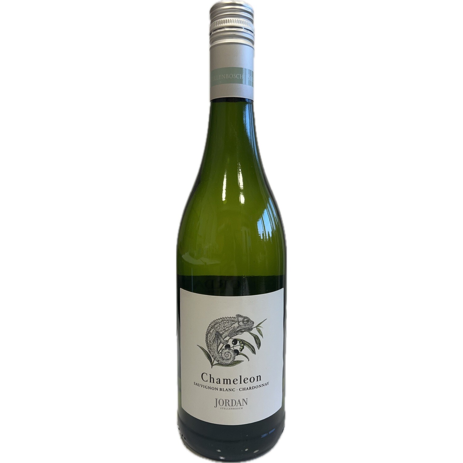 Chameleon Jordan Stellenbosch 2017