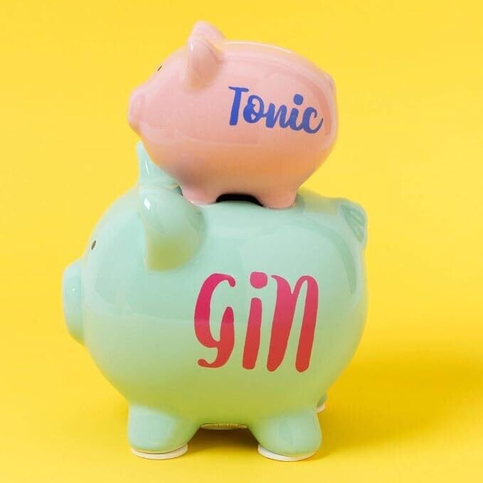 Celebration Gifts Pennies & Dreams' Double Piggy Bank - Gin & Tonic