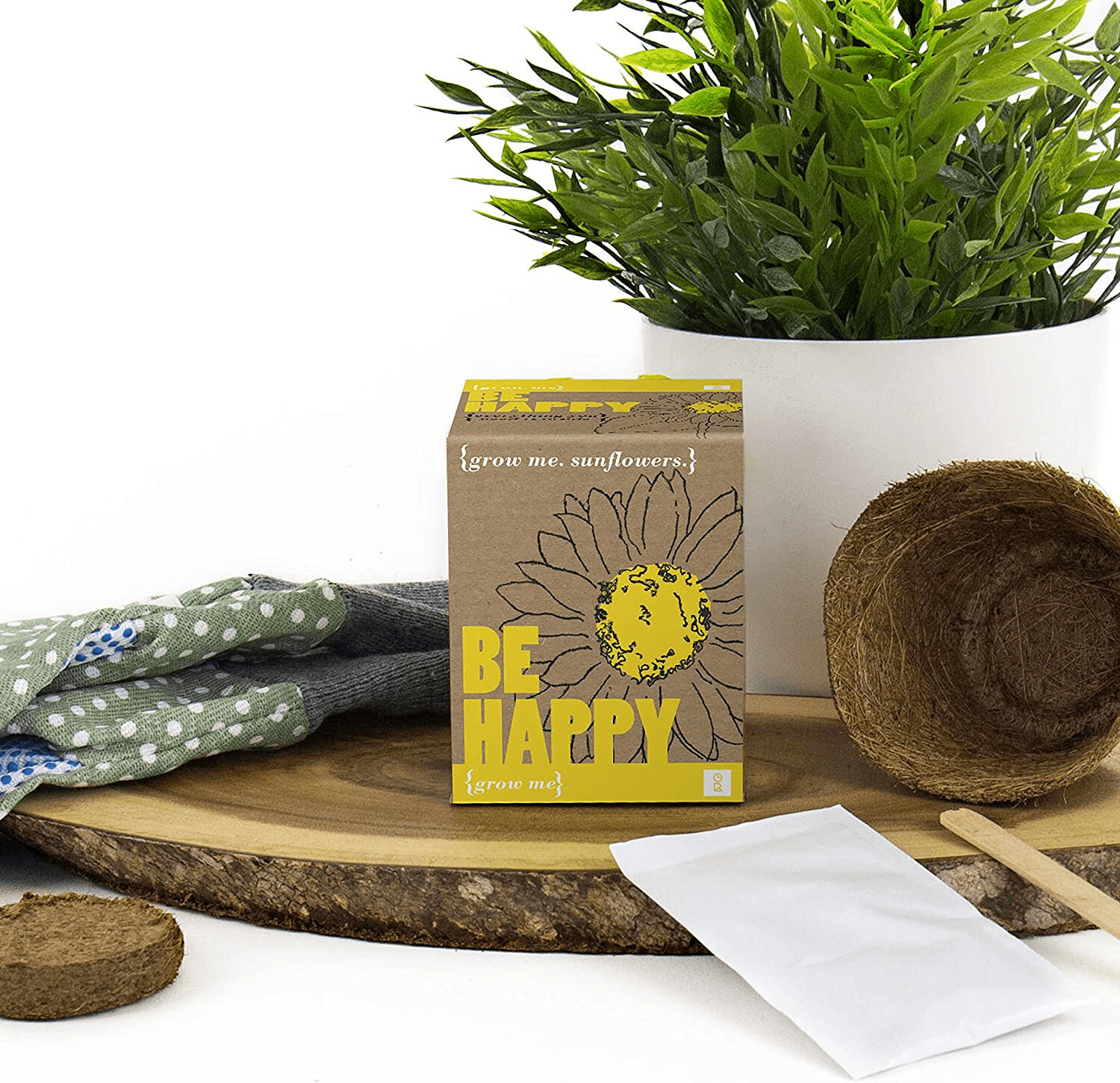 Gift Republic Grow Me Be Happy Sunflowers x 2 packs, 7.0 cm*9.0 cm*8.5 cm