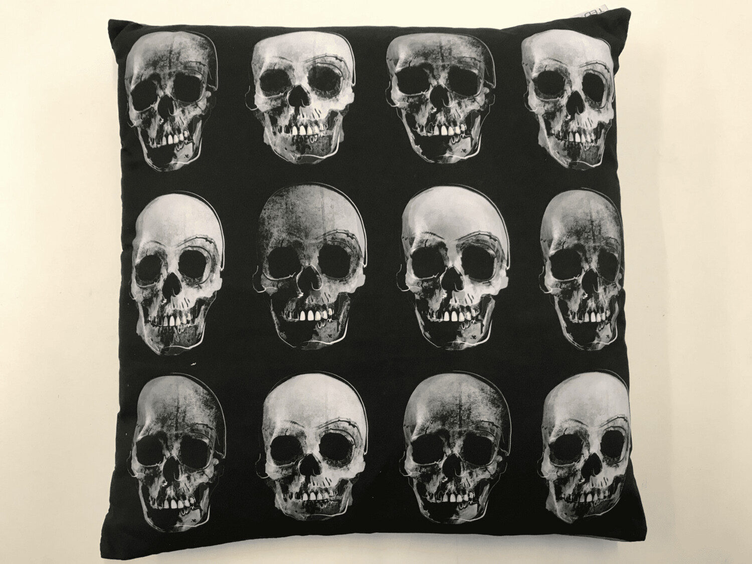 Skull Filled Pillow / Cushion