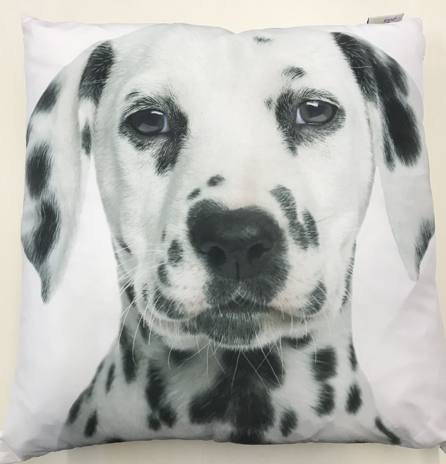 Dalmatian filled pillow / Cushion