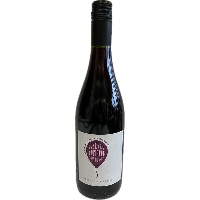 Vibrant Venetian Pinot 2017