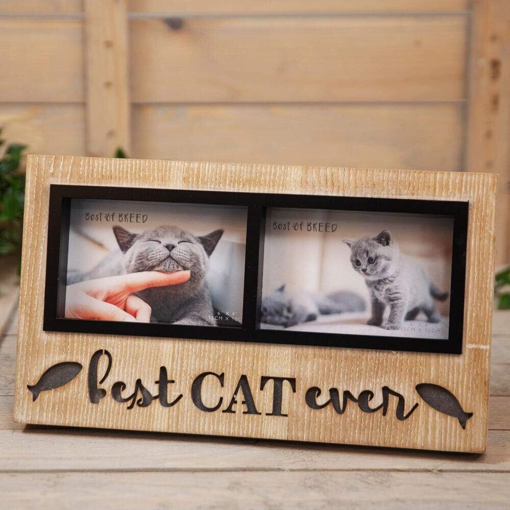 Light Up Double Photo Frame 6" x 4" - Best Cat Ever