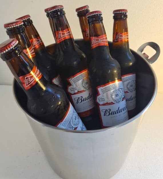 Wine/Beer Cooler