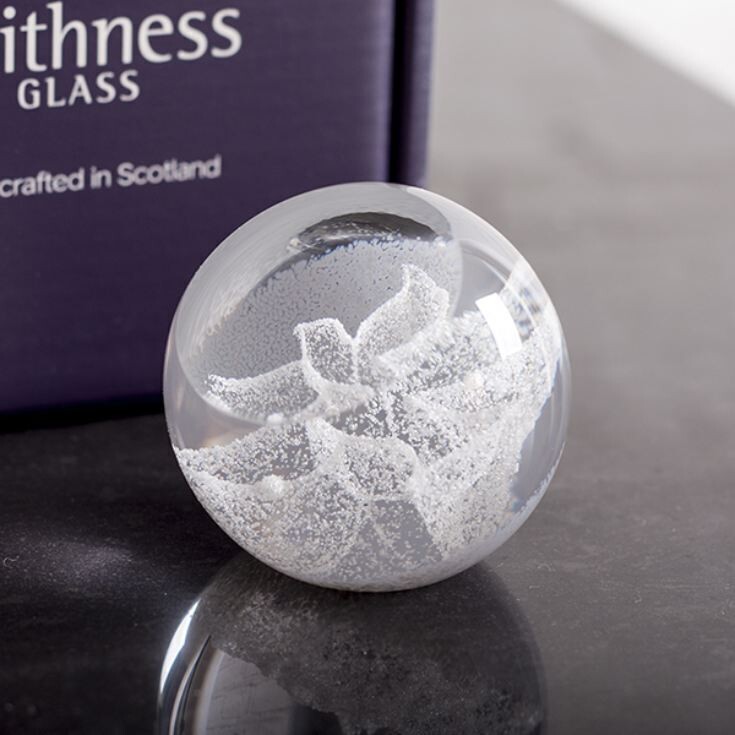 Caithness glass handcrafted special moments paper weights Dove
