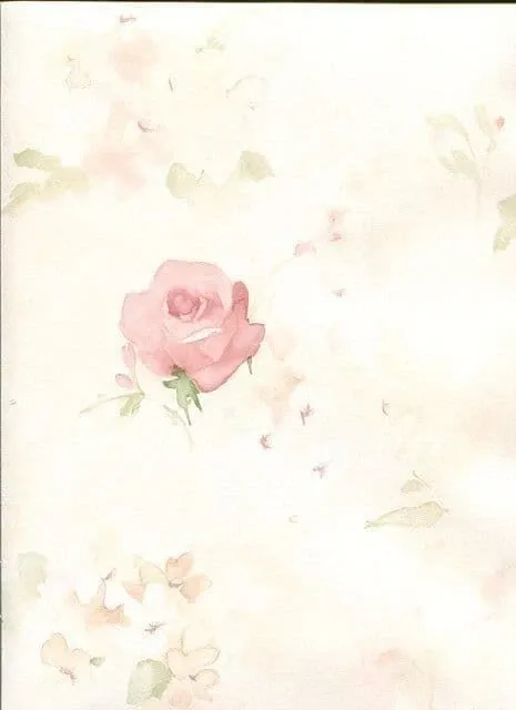 Faded Rose - AB27661