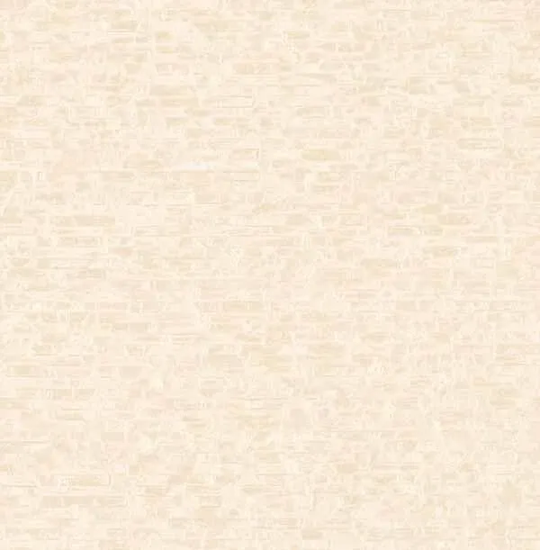 Artisan - FD24921