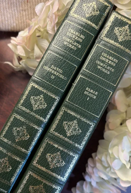 Vintage Charles Dickens Novels - Bleak House / David Copperfield Complete works