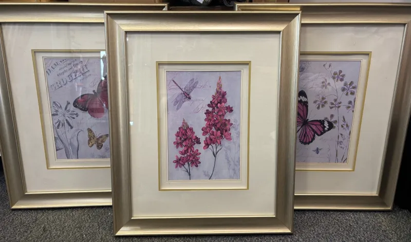 x3 Decorative Vintage Botanical photo frames