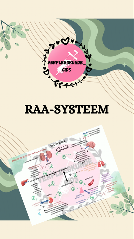 RAA-SYSTEEM 2025