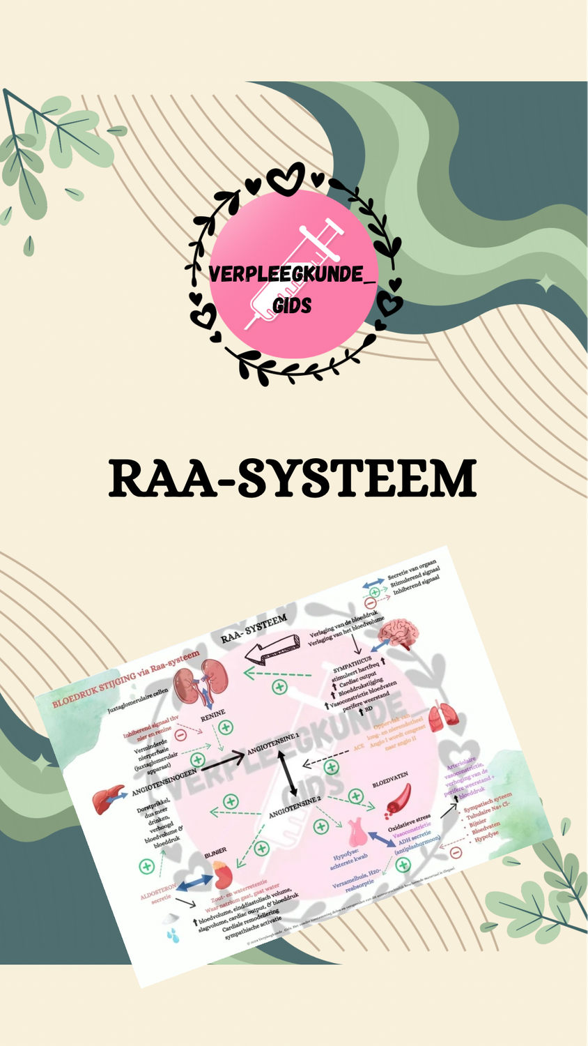 RAA-SYSTEEM 2025