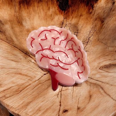 Haarclip hersenen 🧠