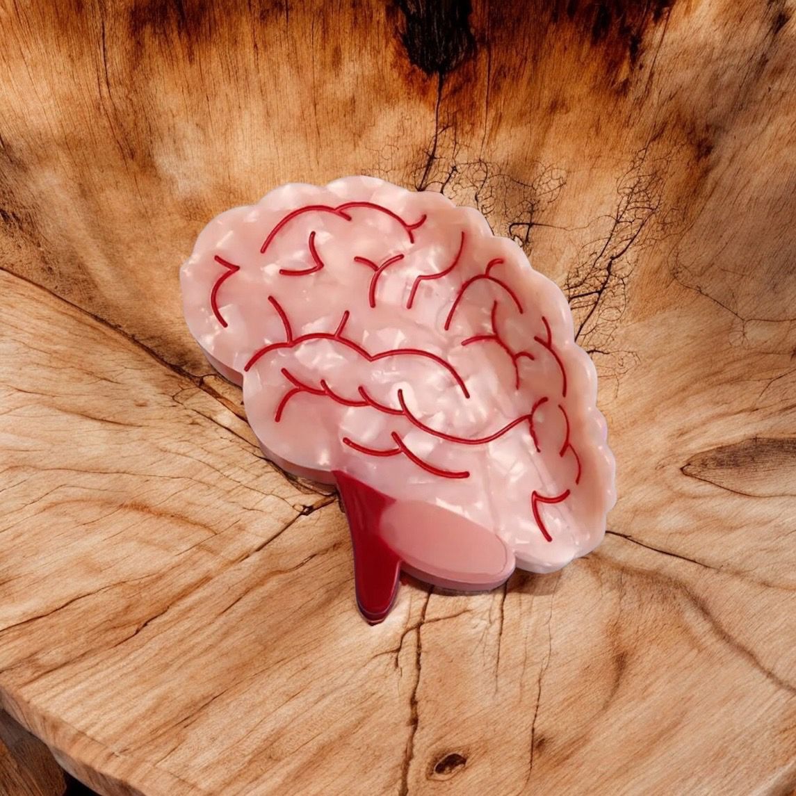 Haarclip hersenen 🧠