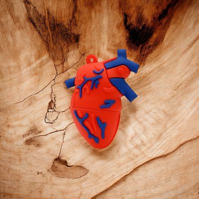 USB hart orgaan 128MB