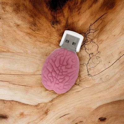 USB Hersenen 128MB