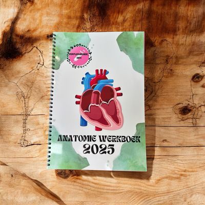 Anatomie werkboek 2025 🫀🫁🧠