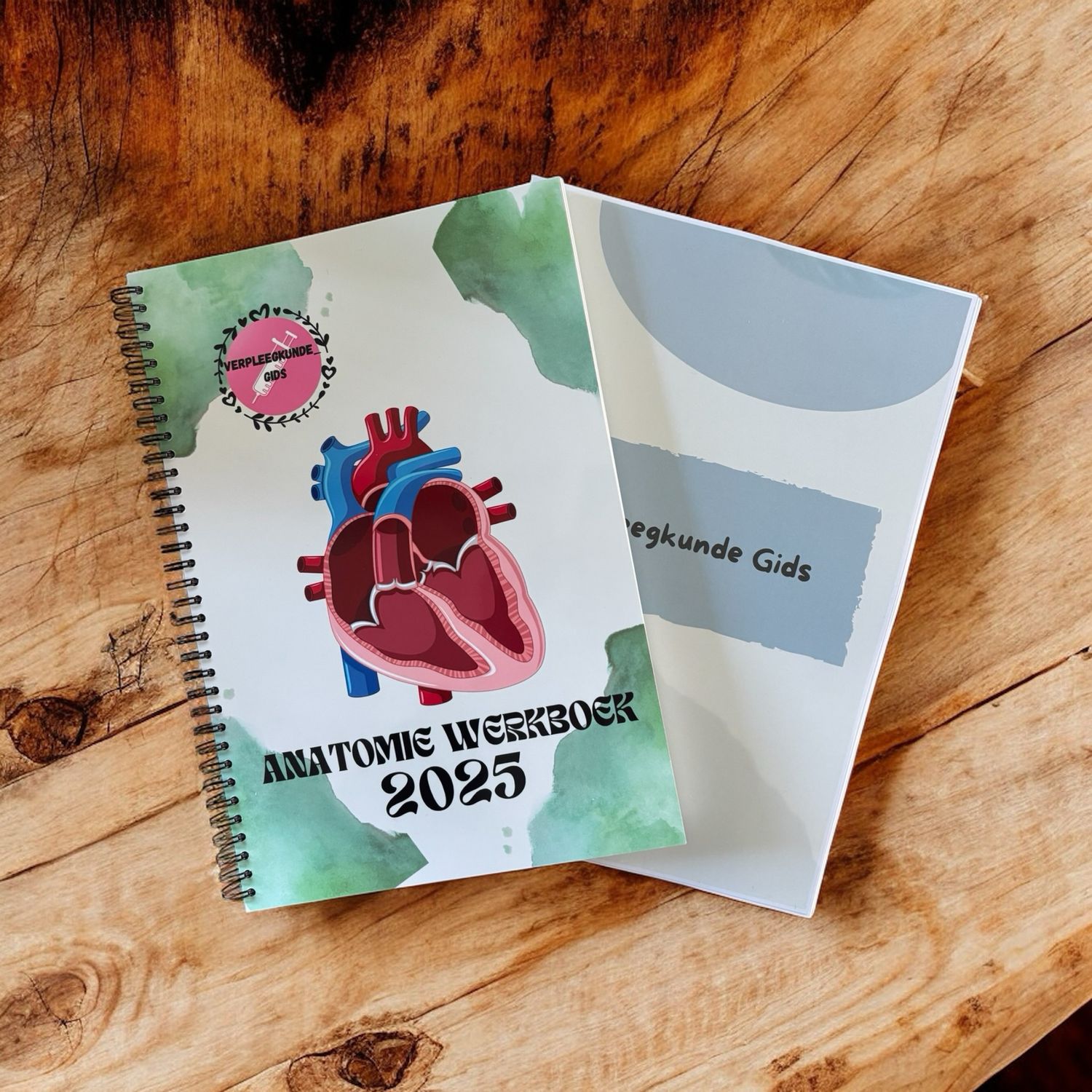 Anatomie werkboek 🧠🫀🫁 &amp; gids 📘