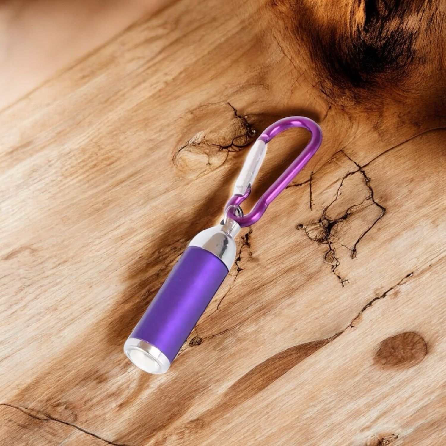 Paars zaklampje 💡