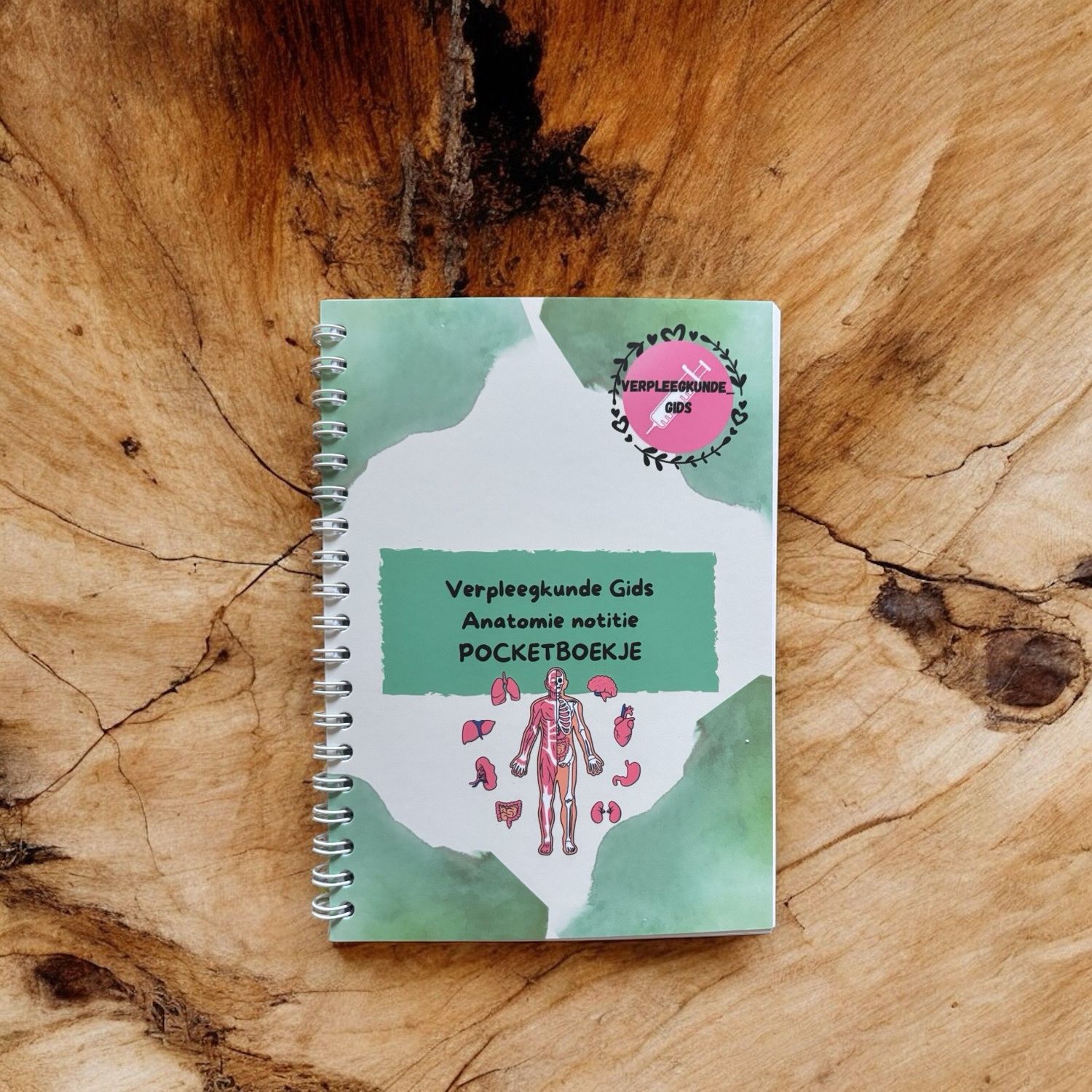 Anatomie notitie pocketboekje 🧠🫁🫀