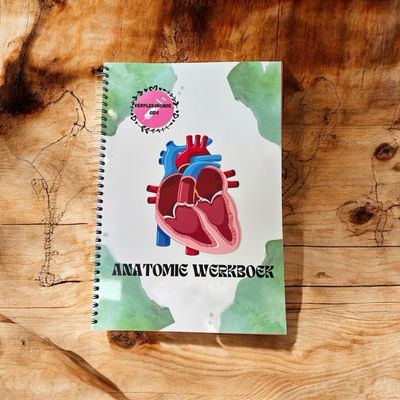 Anatomie werkboek 🫀🫁🧠