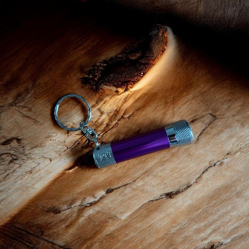 Paars zaklampje 💡