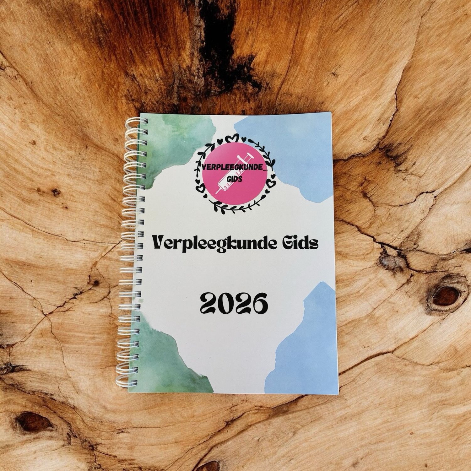 2026 VERPLEEGKUNDE GIDS +300p 📖 📚