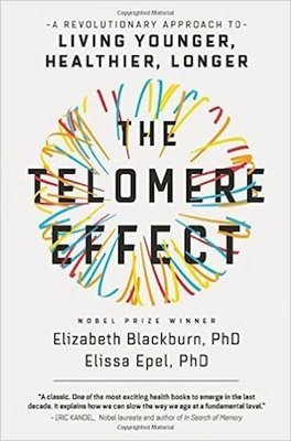 The Telomere Effect The Telomere Effect