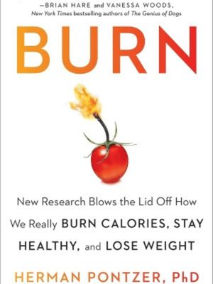 Burn