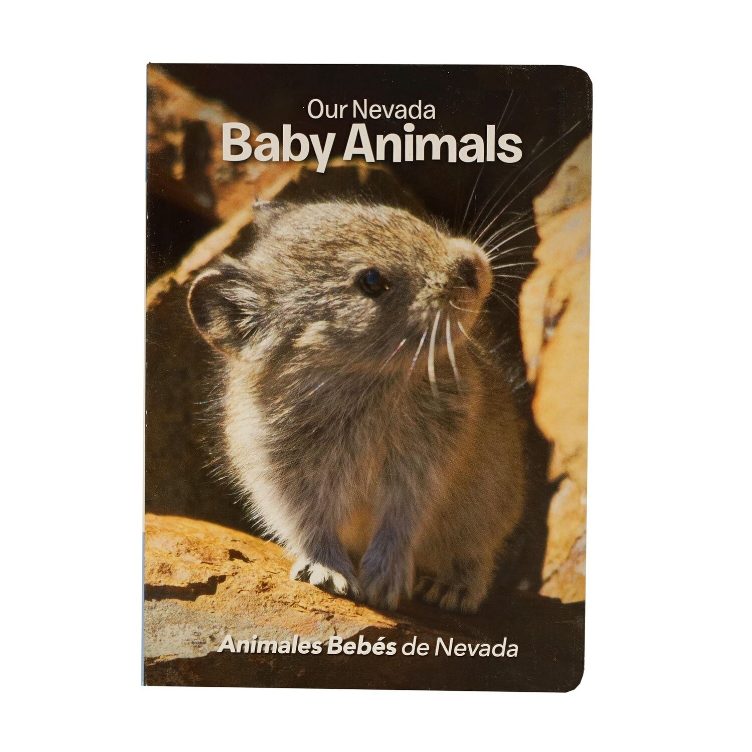 Our Nevada Baby Animals by Jerri Conrad