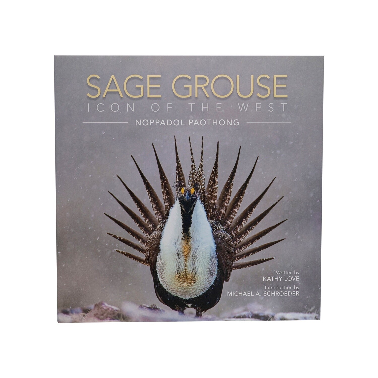 Sage Grouse - Icon of the West
