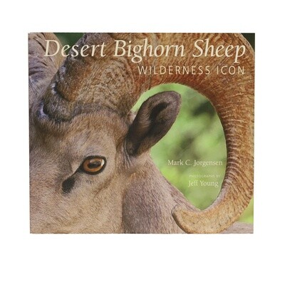 Desert Bighorn Sheep
