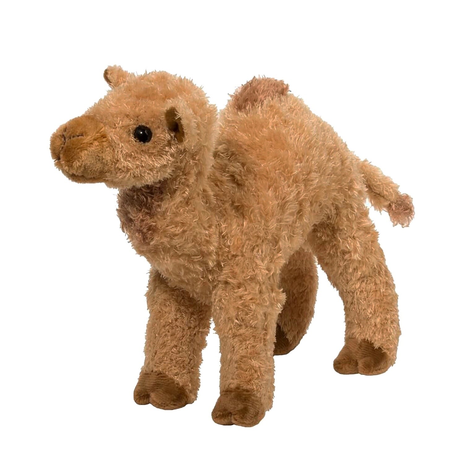 Lawrence Camel
