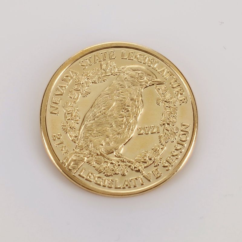 2021 Session Medallion - Bronze