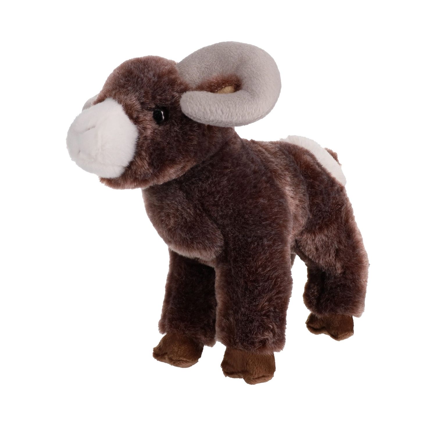 Teton Bighorn Sheep